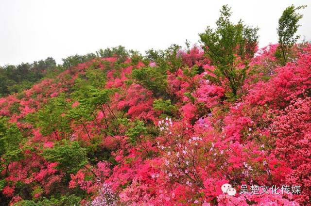 天馬寨(湖北英山天馬寨)