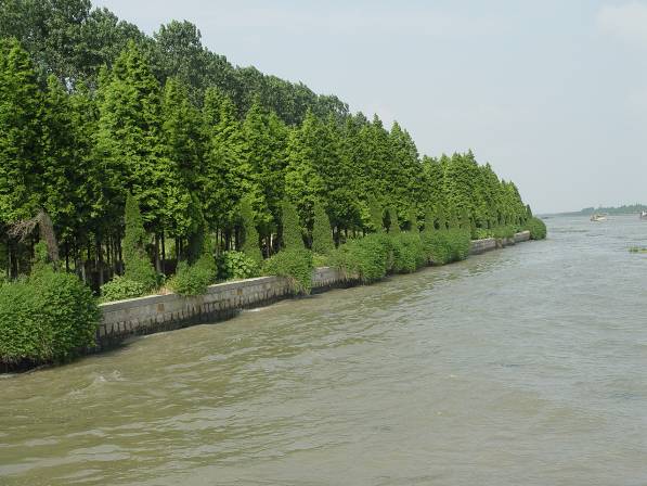 太浦河