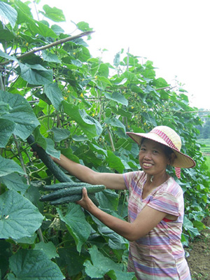 種菜村民