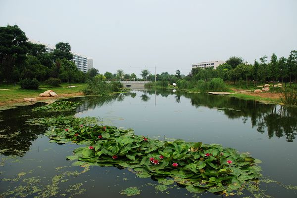 五里湖生態濕地公園