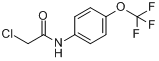 N-（氯乙醯）-4-（三氟甲氧基）苯胺