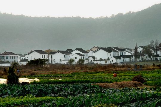 石湖村(廣東省廣州市花都區炭步鎮下轄村)