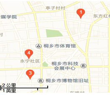 城東村(浙江嘉興市桐鄉市梧桐街道下轄村)