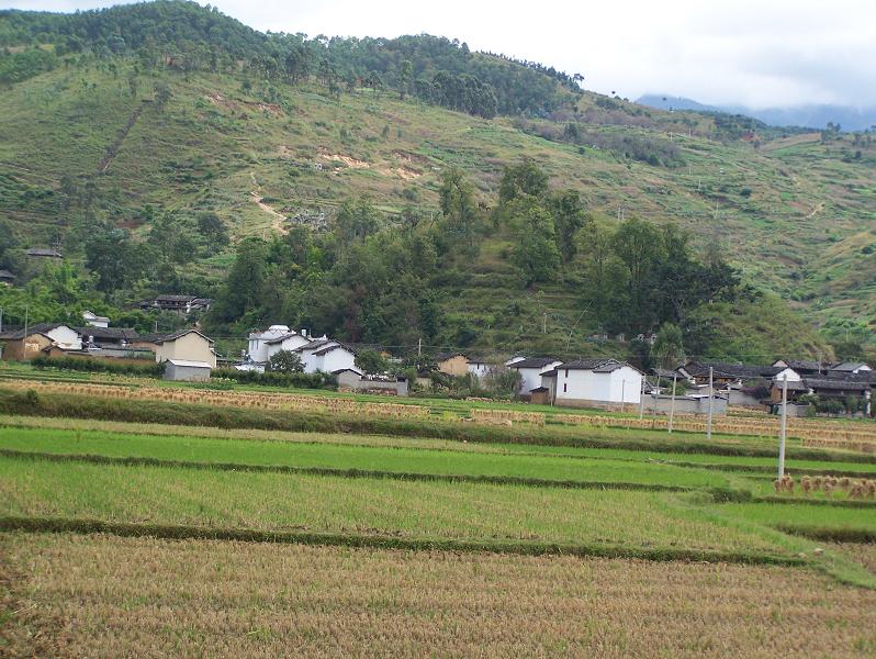 翠岩寺自然村