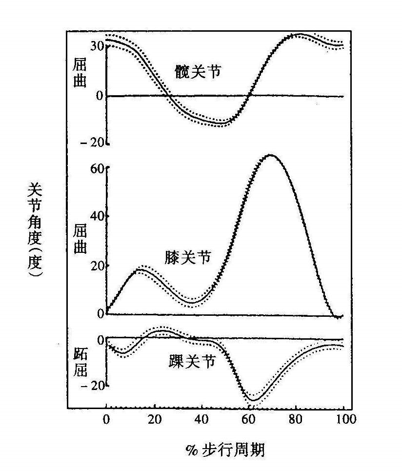 步態參數(步態分析)