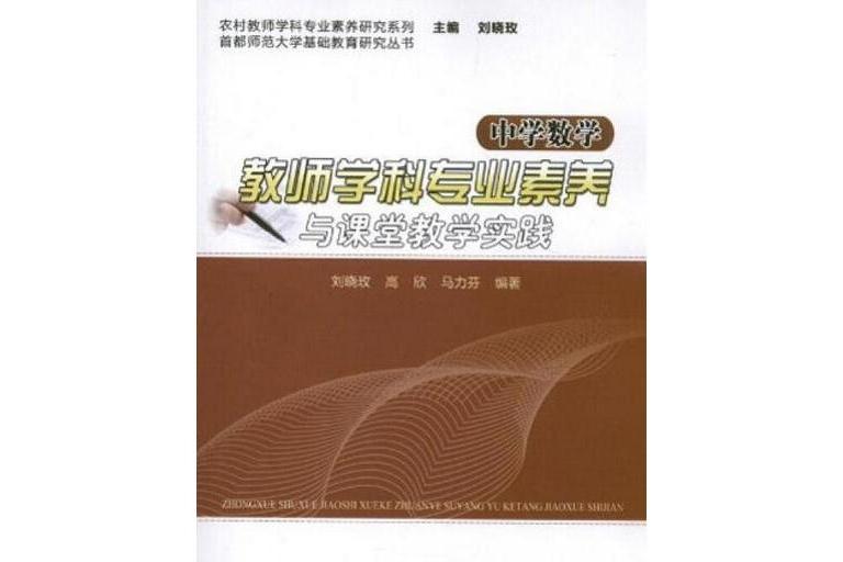 中學數學教師學科專業素養與課堂教學實踐