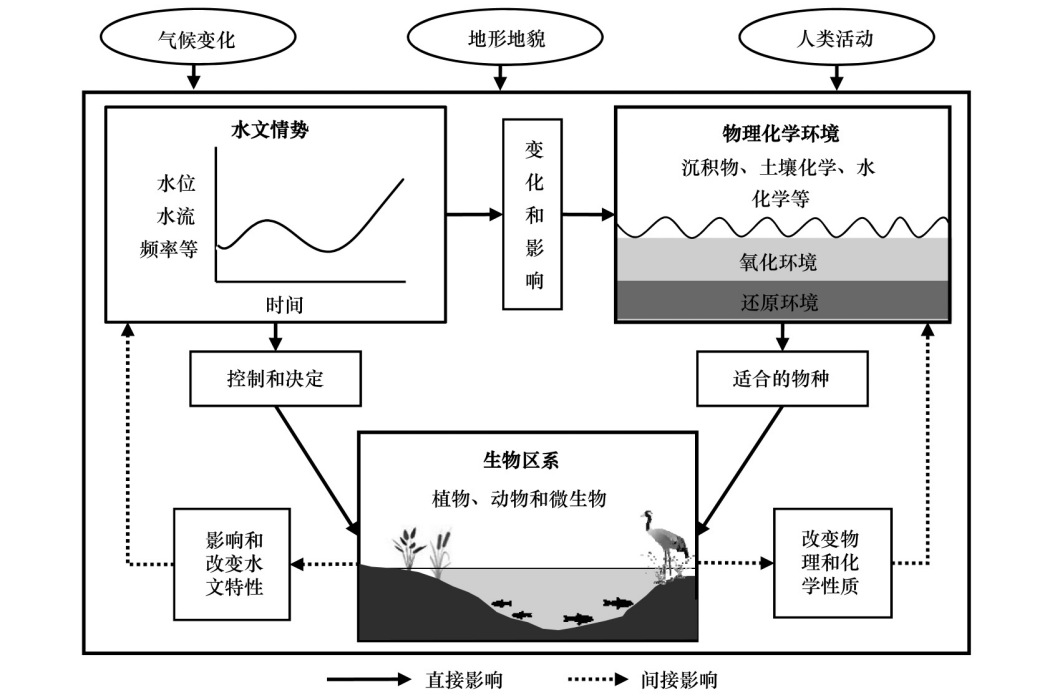 濕地生態水文模型