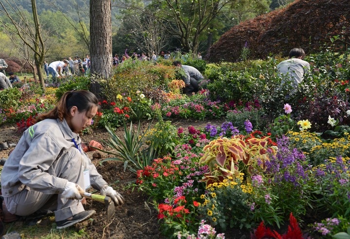 花卉園藝師