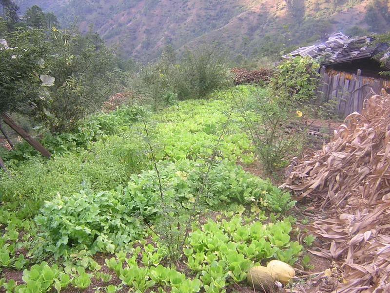 元保山自然村