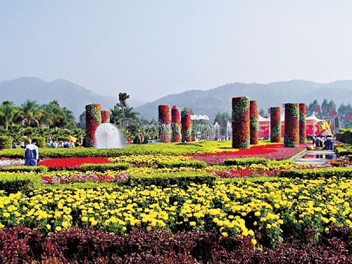 百花村(重慶市大渡口區百花村)