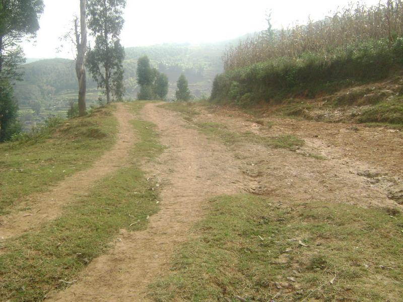 入村道路