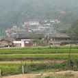 大嶺崗村(雲南省紅河州彌勒縣東山鎮大嶺崗村)