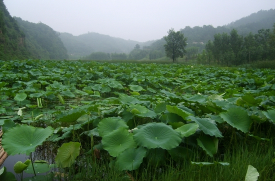 保護區概況