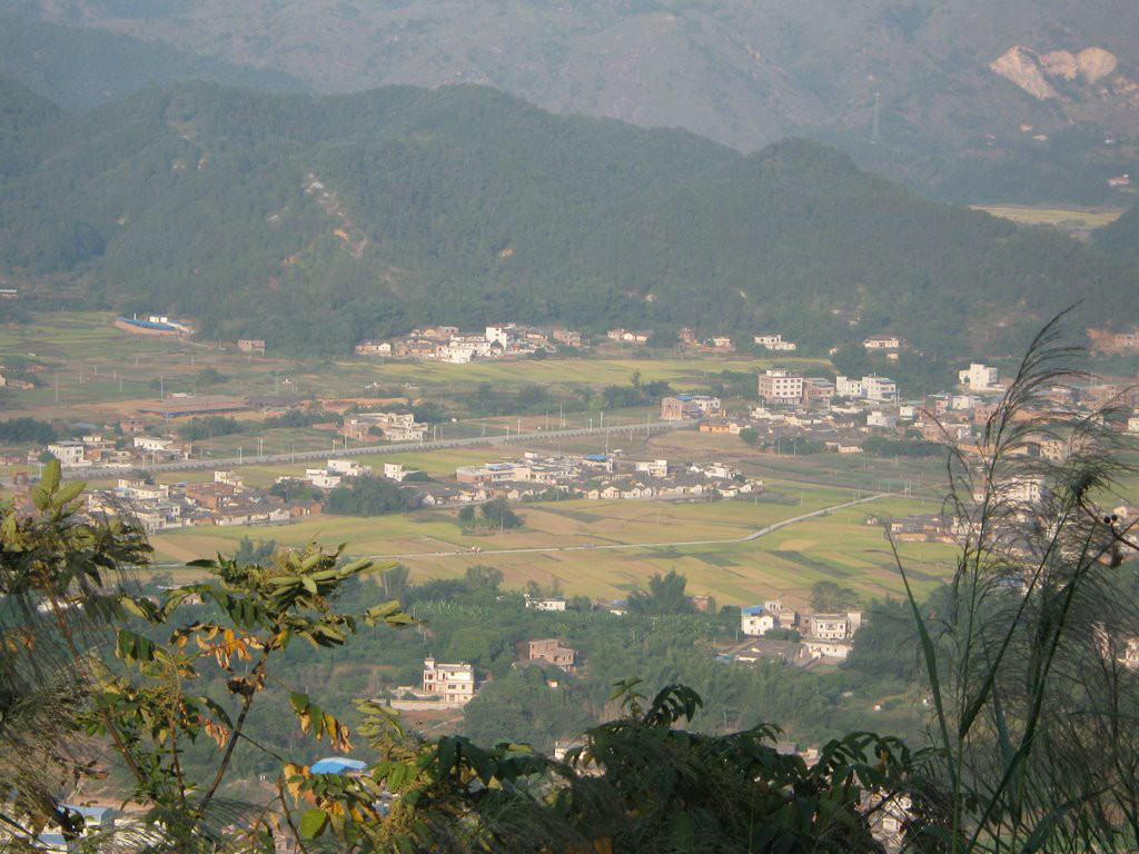 圩下村