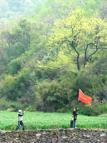 洪山嘴街道