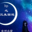 [綜]hp之輪轉