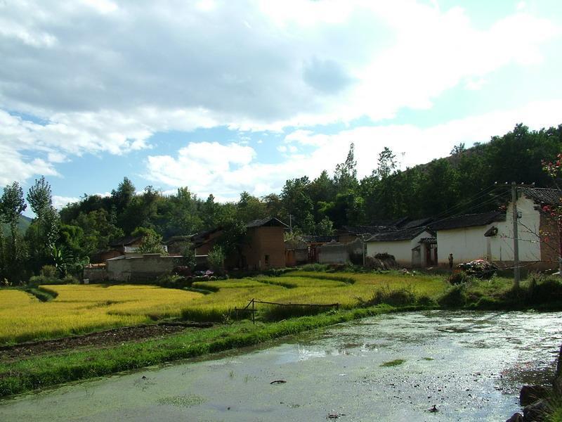 老務坪自然村