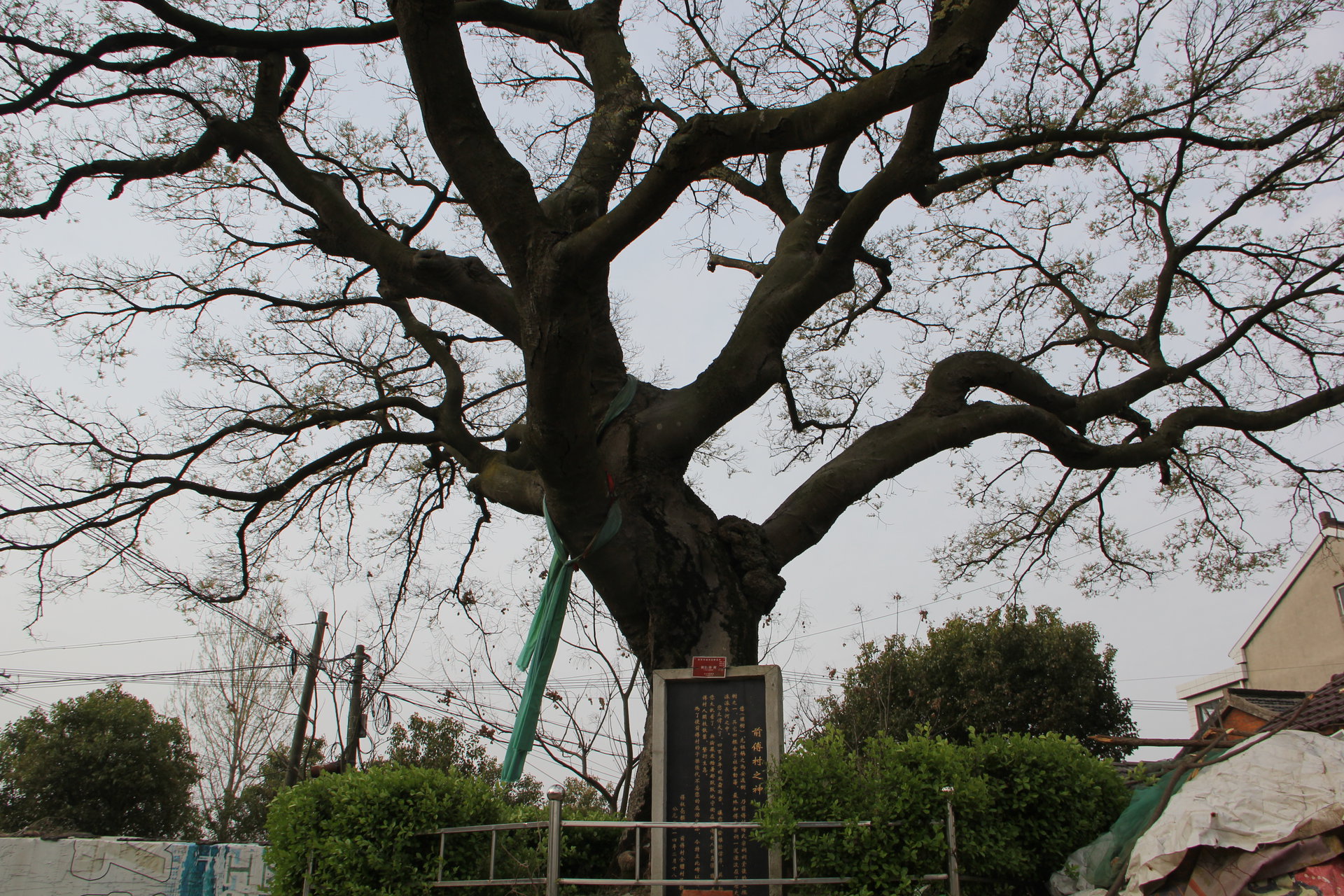 劉家村(南京市溧水區和鳳鎮劉家村)