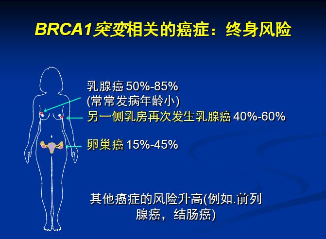 BRCA1基因