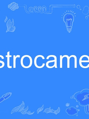 gastrocamera