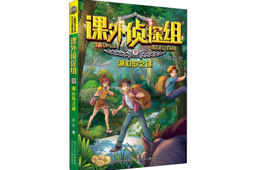 湖心島之謎(2019年河北少年兒童出版社出版的圖書)