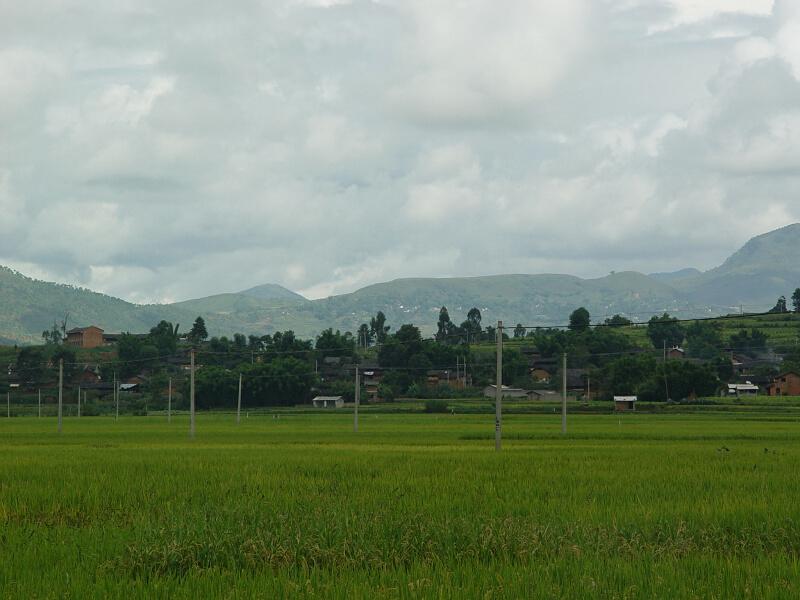 西田自然村