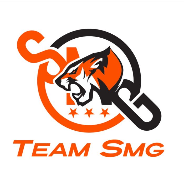 TeamSMG電子競技俱樂部