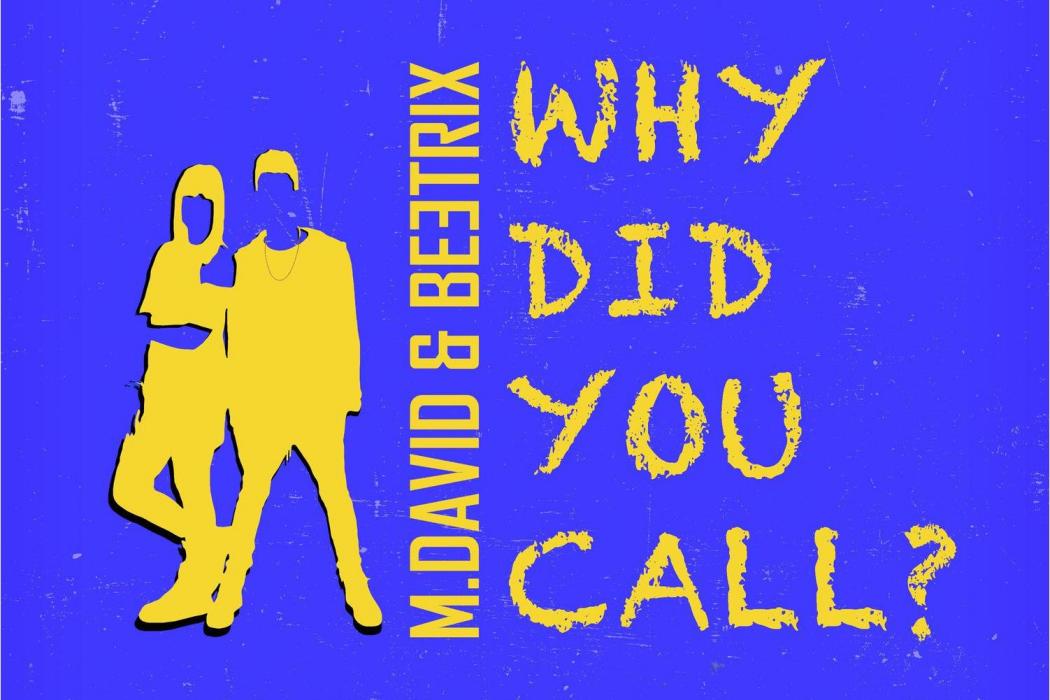 Why Did You Call