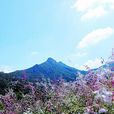 神灣丫髻山