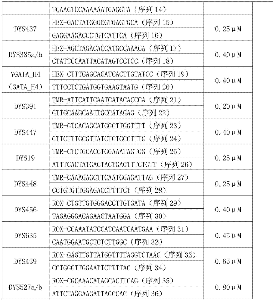 Y-STR螢光複合擴增檢驗試劑