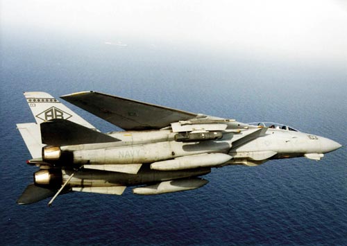 F-14戰鬥機(湯姆貓（美國戰鬥機綽號）)