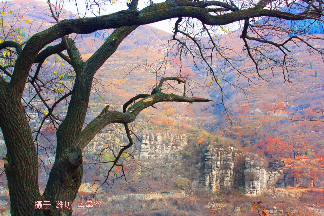 青州旅遊景點