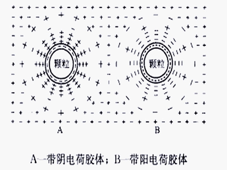 兩性膠體