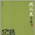 中國現代名家小說書系：沈從文小說