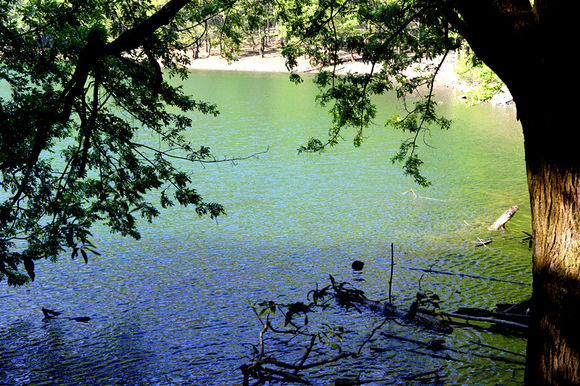 黑龍海子森林公園