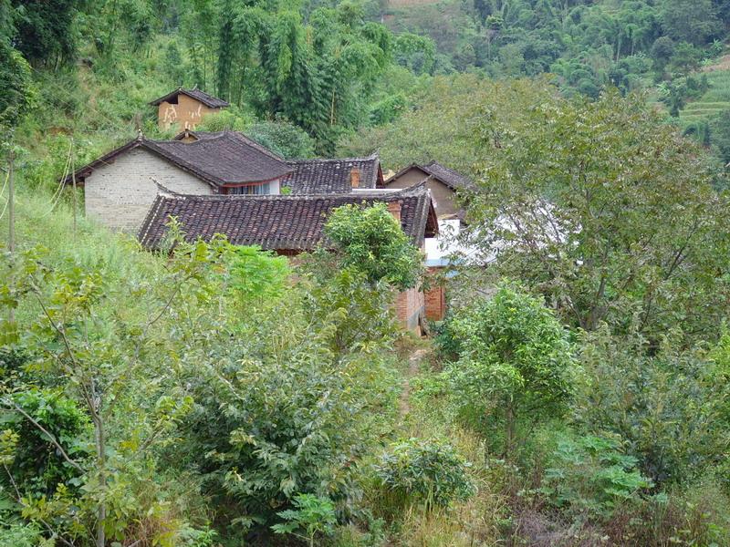 農家小院