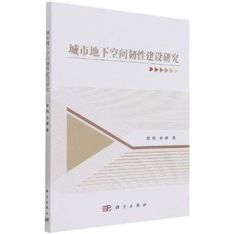 城市地下空間韌性建設研究