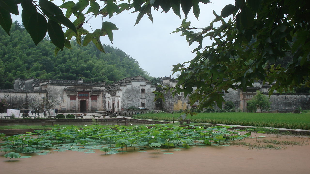 文昌村