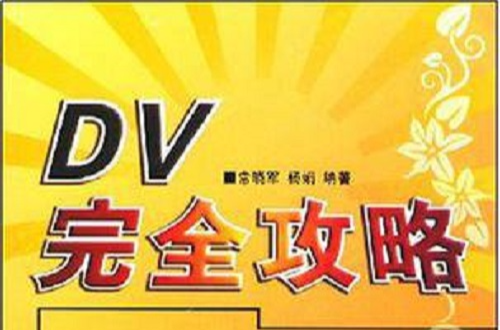 DV完全攻略