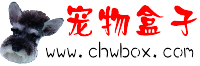 寵物盒子logo