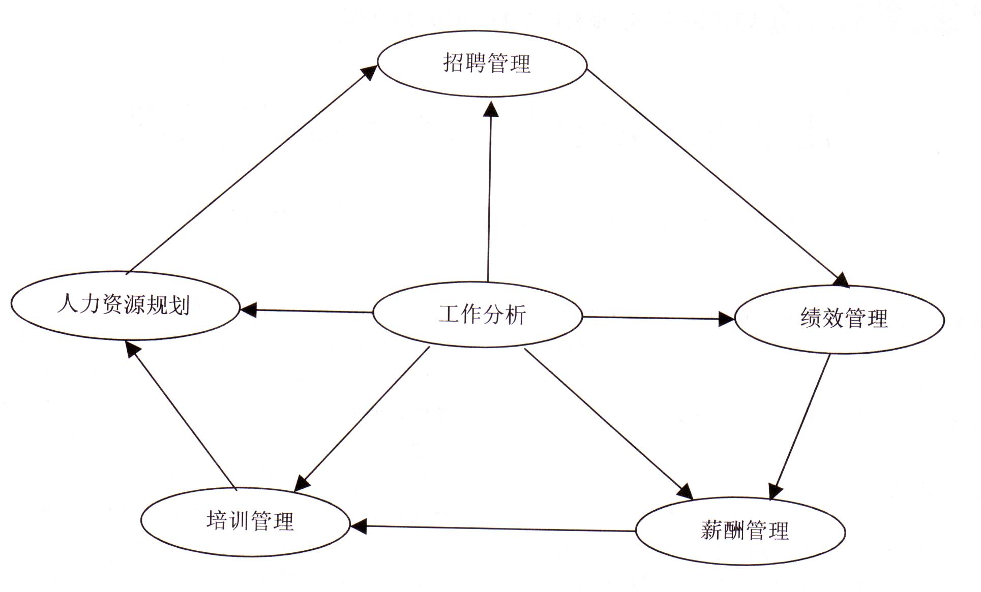 公共組織