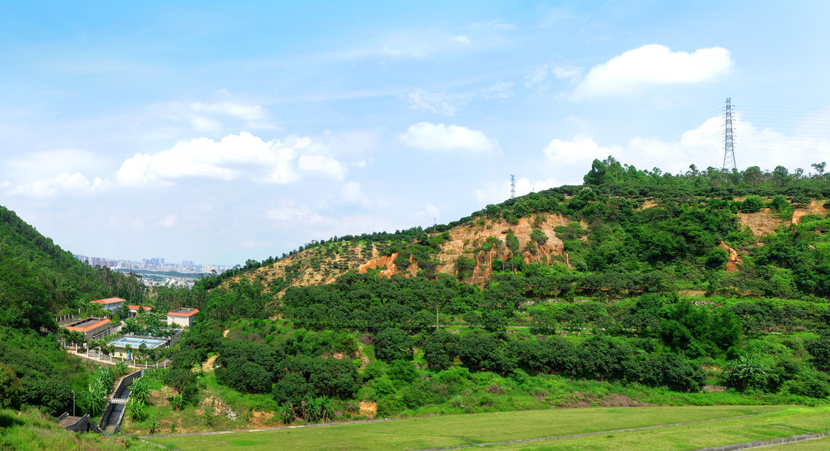 大嶺山林場