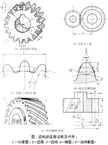 端面