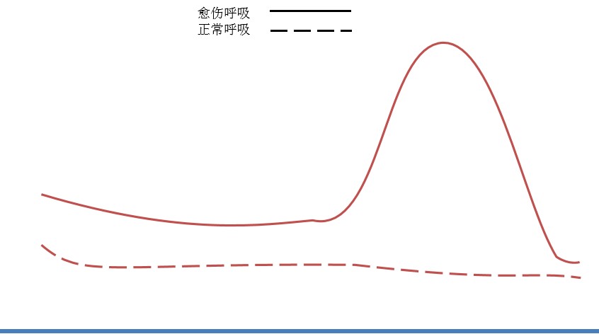 愈傷呼吸