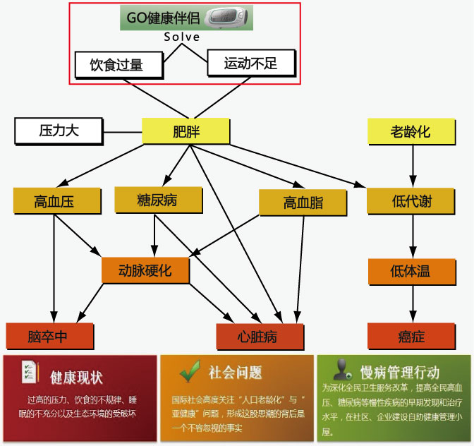 健康伴侶