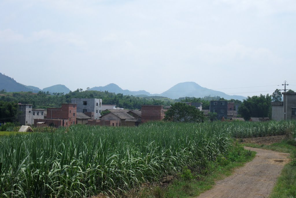 回龍村(雲南省昆明市盤龍區滇源鎮下轄村)