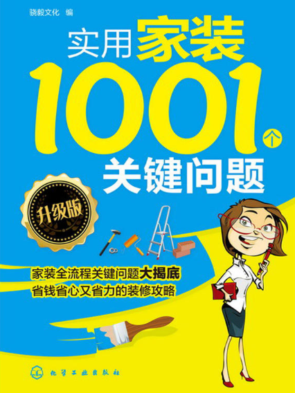 實用家裝1001個關鍵問題（升級版）