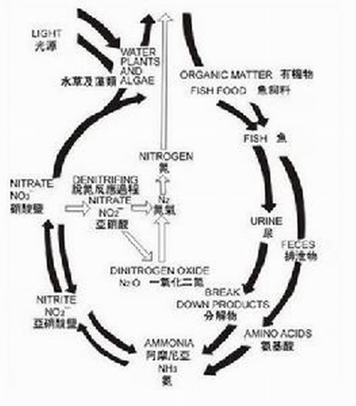 硝酸鹽礦物形成過程