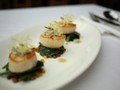 scallop