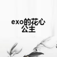 exo的花心公主